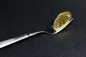 bitcoin forks guide