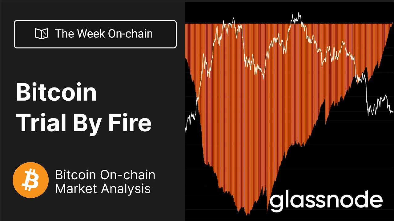 The Week On-chain: A Bitcoin Trial by Fire